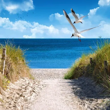 Grobenbrode Seaside Walkway *